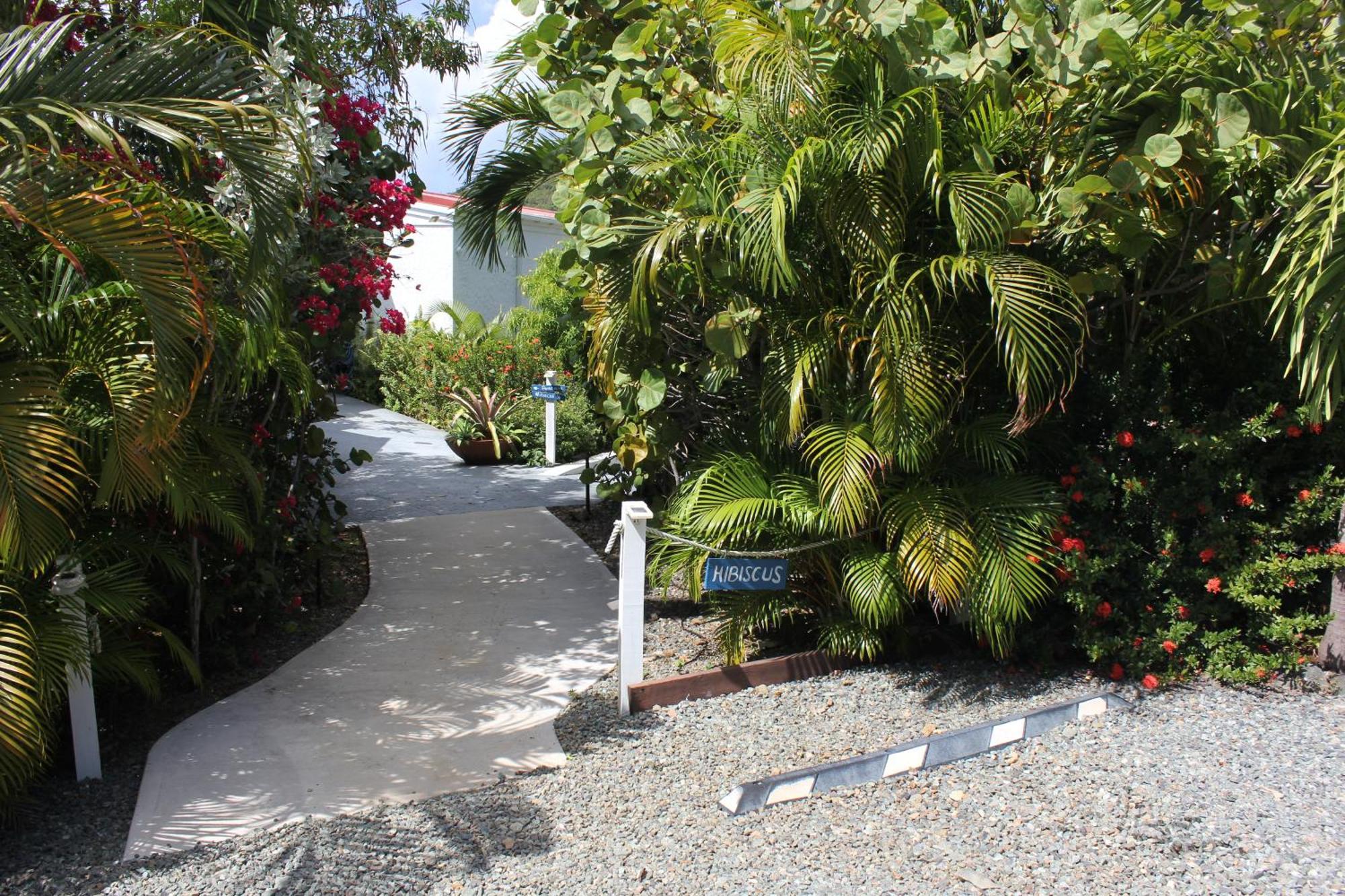 Hibiscus Suite At Sunset Serenade Cruz Bay 外观 照片